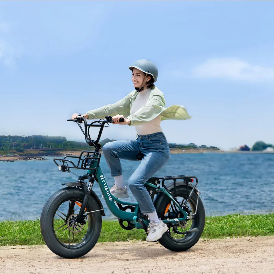 Pohodlí ENGWE L20 Boost